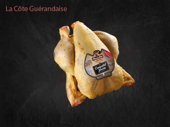 Coquelet
