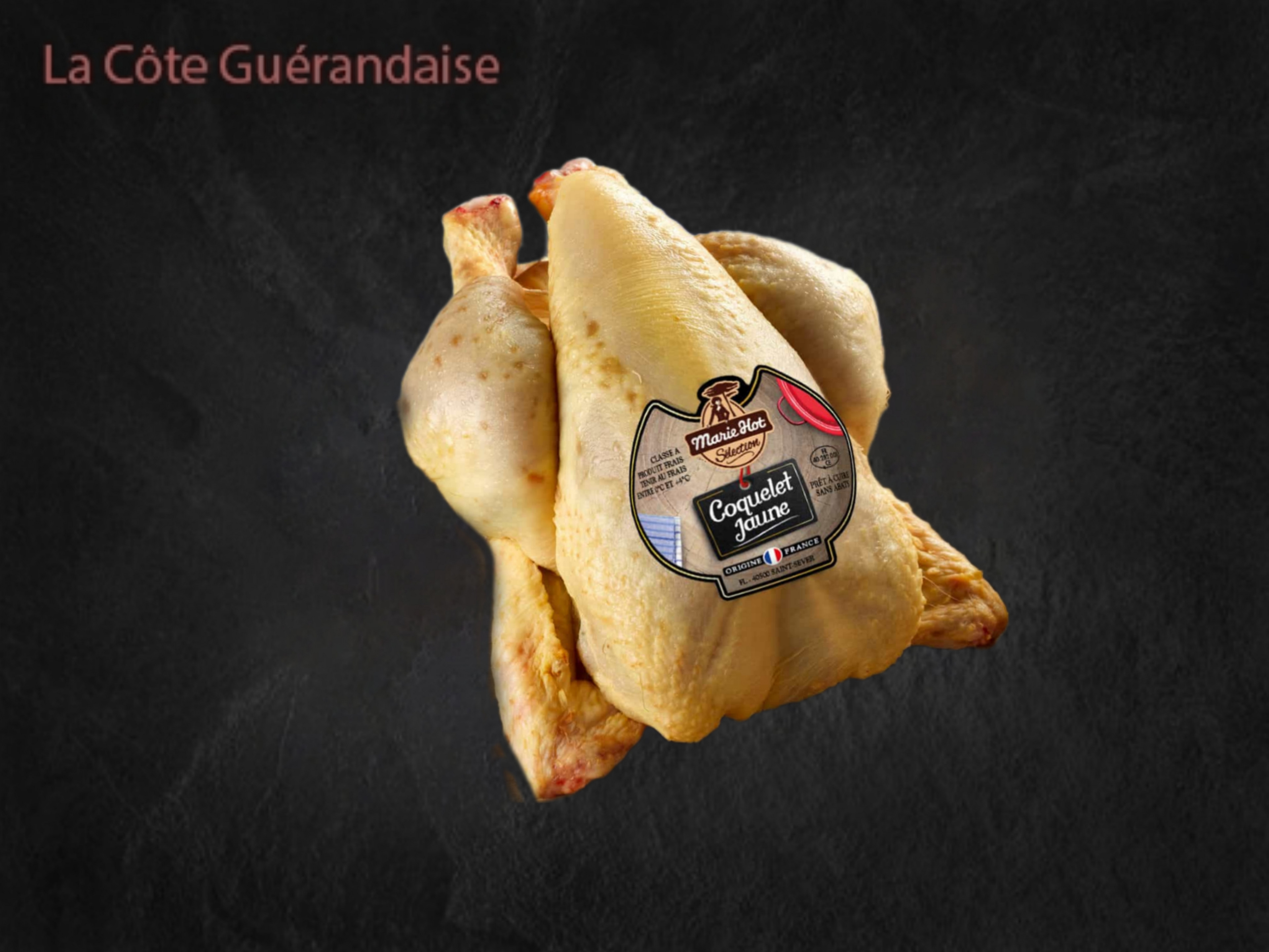 Coquelet