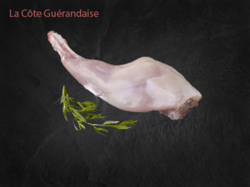 Lapin (cuisse)