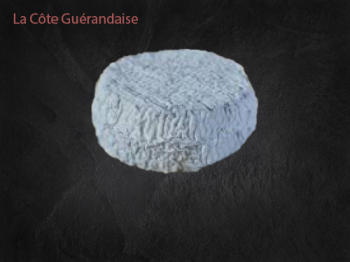 Sauvaget cendré « J.Blanc »